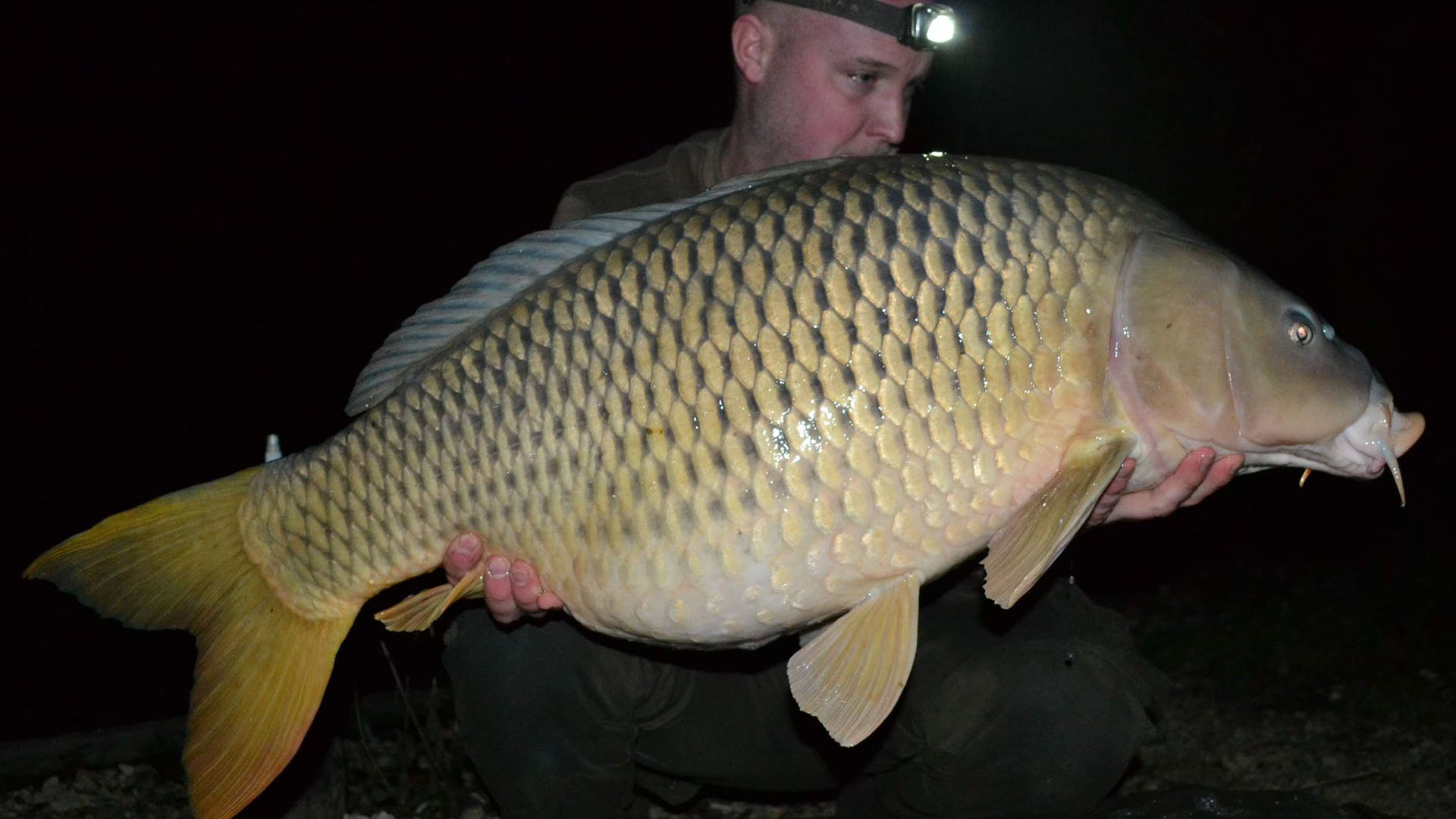 Our Experience Ice Fishing for Common Carp - In-Fisherman